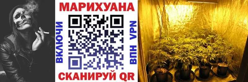 МАРИХУАНА AK-47  где найти наркотики  Первомайск 